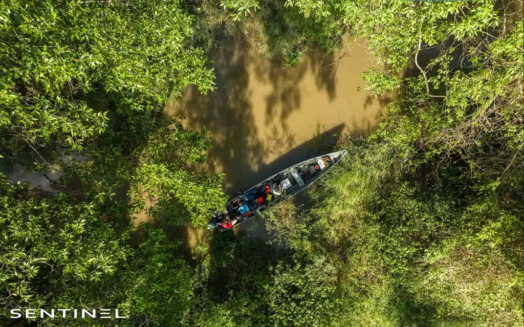 État des lieux de la crique Fouillée en pirogue, pour l’agglomération de Cayenne, septembre 2026