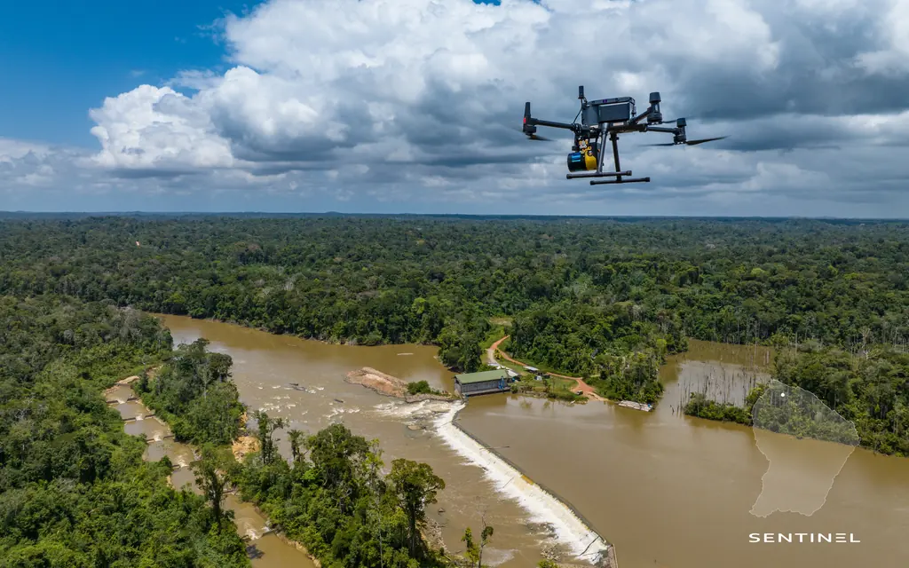 Saut Maman Valentin: seven survey campaigns on the banks downstream of the plant