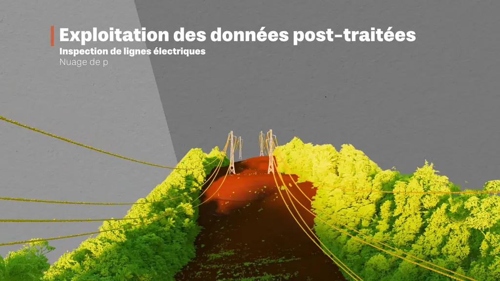 Image du film : nuage de points d’une ligne électrique sous la canopée