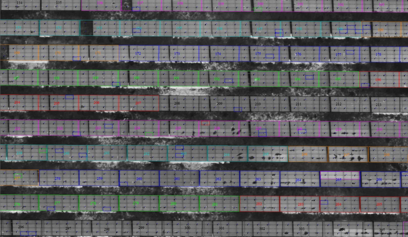 Thermal orthophoto of a plant (another plant)