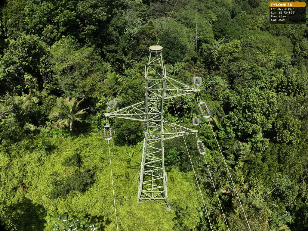 Support en forêt humide