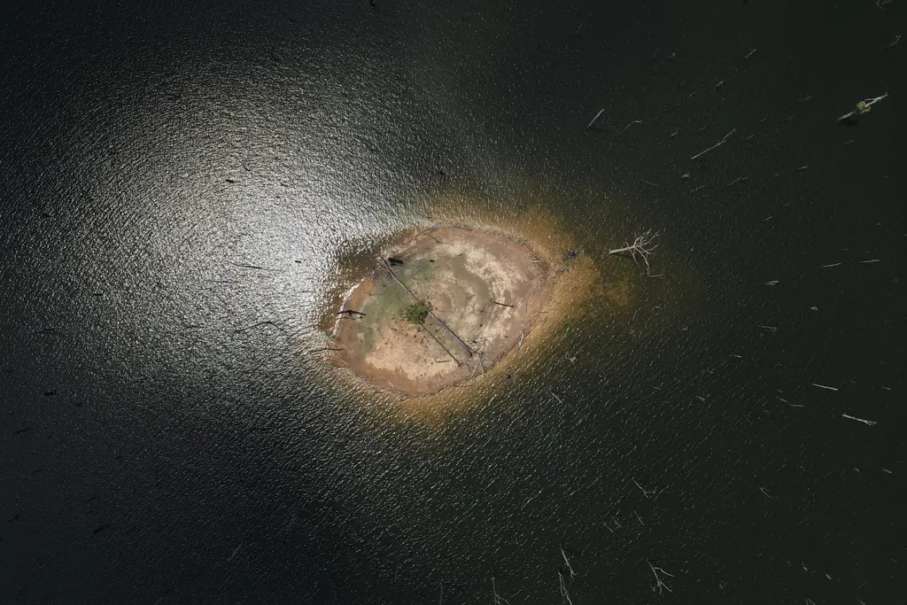 L’îlot de décollage au milieu des chicots, vu depuis 120 m