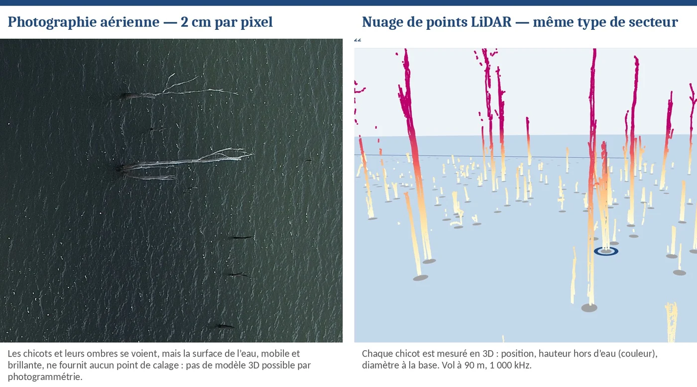 Ce que voit la photo, ce que mesure le LiDAR