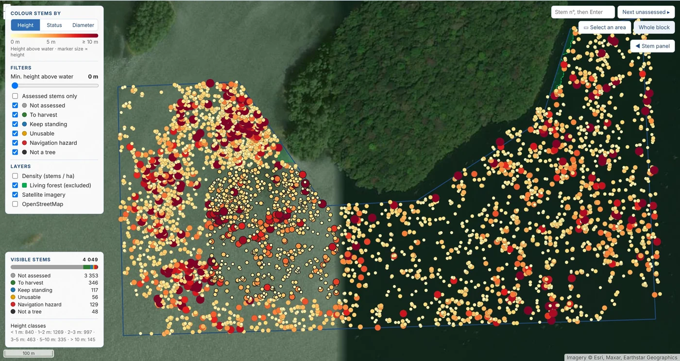 The web page delivered: the map of the stems, coloured by height, on satellite imagery